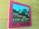 Ion Miclea - Satele Romaniei: Rasinari [1983] (carte cu poze)
