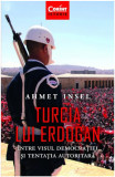 Turcia lui Erdogan | Ahmet Insel