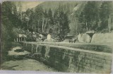 Carte postala, Baile Slanic Moldova, Izvoarele minerale 1, 1bis, inceput de secol XX