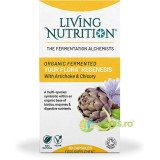 Probiotice Fermentate pentru Refacerea Florei Intestinale 700mg Your Flora Regenesis 60cps