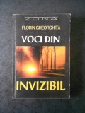 FLORIN GHEORGHITA - VOCI DIN INVIZIBIL