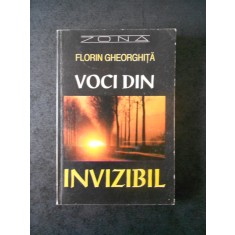 FLORIN GHEORGHITA - VOCI DIN INVIZIBIL