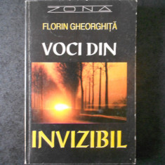 FLORIN GHEORGHITA - VOCI DIN INVIZIBIL