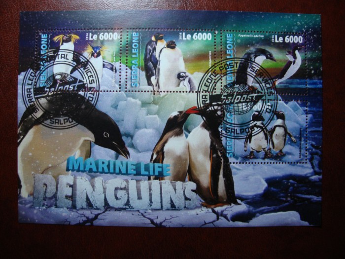 SIERRA LEONE 2016 BLOC PINGUINI