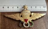 QW9 N8 97 - insigna - militar - parasutism - parasuta - aripi - stea