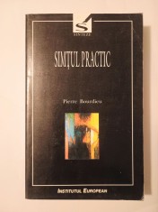 Pierre Bourdieu - Simțul practic (Institutul European, 2000)