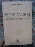 Mircea Maciu - Petre Andrei. Activitatea, Conceptia, Opera