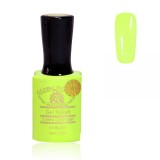 Cumpara ieftin Oja semipermanenta Premium 15 ml, 169