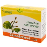 Gemoderivat muguri arin negru 1,5ml*30mdz, Hofigal