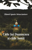 Caile lui Dumnezeu si caile lumii - Ignatie Briancianinov