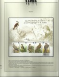 BELGIA 2010 FAUNA PASARI - PE CARTON DE PREZENTARE
