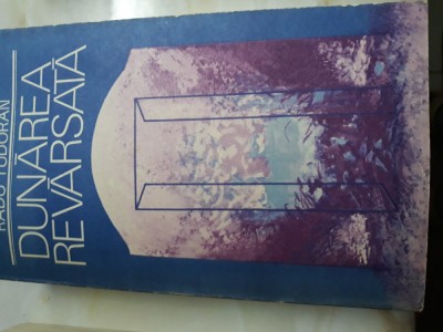 Dunarea revarsata - Radu Tudoran foto