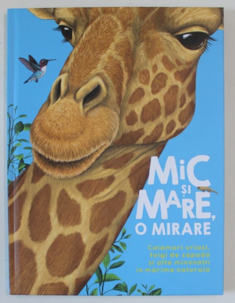 MIC SI MARE , O MIRARE , CALAMARI URIASI , FULGI DE ZAPADA SI ALTE MINUNATII IN MARIME NATURALA de CAMILLA DE LA BEDOYERE , ilustratii de VASILISA ROM