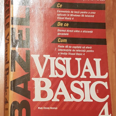 Bazele Visual Basic de Mark Steven Heyman