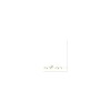 Watercolor Birds Stationery [With 24 Envelopes]