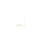 Watercolor Birds Stationery [With 24 Envelopes]