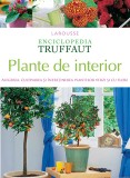 Plante de interior ( Enciclopedia Truffaut )