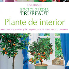 Plante de interior ( Enciclopedia Truffaut )