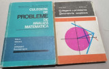 2 culegeri de probleme de analiza matematica si geometrie analitica