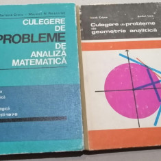 2 culegeri de probleme de analiza matematica si geometrie analitica