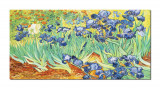 Tablou pictat manual GIGANT living, dormitor - Irisi la Saint-Remy - 140x70cm ulei pe panza, reproducere Vincent van Gogh, Fabulos