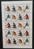 SOMALIA-MAIMUTE-5x4 Val.In coala mica-MNH**SOM 161B