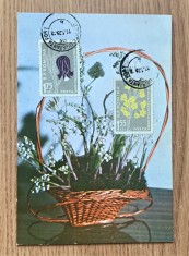 ROMANIA 1957 - FLORA CARPATINA, STAMPILATE - LP 432b foto