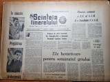 Scanteia tineretului 22 octombrie 1964-orasul piatra neamt,jocurile olimpice