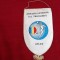 fanion A.S. FZ Tricolorul Arad