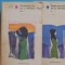 ANNE BRONTE - NECUNOSCUTA DE LA WILDFELL HALL - ROMAN DE DRAGOSTE - 285+ 191PAG