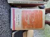 Sara pe deal vintage