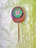 H52- Insigna mica veche Vanatoare-Tir Saar Germania 1994 alama aurita si emailata stare buna.