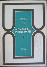 MONOGRAFII PROFESIONALE VOL.6 PROFESIUNI DIN DOMENIUL LUCRARILOR DE CONSTRUCTII-MONTAJ-MIHAI PETEANU-244275