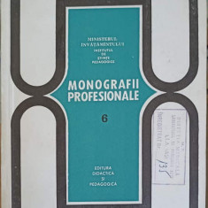 MONOGRAFII PROFESIONALE VOL.6 PROFESIUNI DIN DOMENIUL LUCRARILOR DE CONSTRUCTII-MONTAJ-MIHAI PETEANU