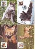 Bnk fil Romania set 4 maxime prima zi a emisiunii Pui de animale salbatice 2012, Romania de la 1950, Fauna