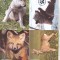 bnk fil Romania set 4 maxime prima zi a emisiunii Pui de animale salbatice 2012