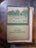 PEPINIERA T&Icirc;NĂRULUI MICIURINIST