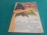 BABA IARNA INTRĂ-N SAT * OTILIA CAZIMIR * ILUSTRAȚII COCA CREȚOIU ȘEINESCU / 1985 * 3 3 1