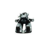 Etrier Frana Spate Dr. 491239 con102195