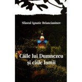 Caile lui Dumnezeu si caile lumii - Sf&acirc;ntul Ignatie Briancianinov