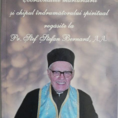 Coordonatele marturisirii si chipul indrumatorului spiritual regasite la Pr. Stef Stefan Bernard, A. A. - Ciprian Vestemean