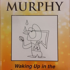 Lord Have Murphy. Waking up in the spiritual marketplace