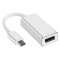 Adaptor convertor USB-C 3.1 Type C la DisplayPort pentru laptop, telefon, tableta, suporta 4K, argintiu