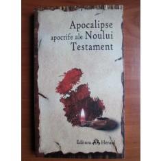 Apocalipse apocrife ale Noului Testament