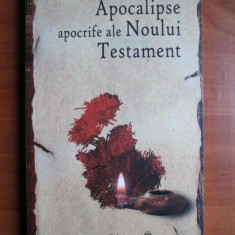 Apocalipse apocrife ale Noului Testament