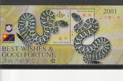 Anul sarpelui ,China. foto