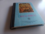 Cumpara ieftin MICA BIBLIE TIPARITA SUB INDRUMAREA PF TEOCTIST.EDITIA A CINCEA- IBM AL BOR 1993