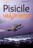 Cumpara ieftin Pisicile vrăjitorese (Vol. 1) - Paperback brosat - Anca Bejinariu - Letras
