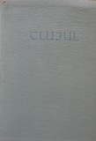 CLUJUL GHID ISTORIC - STEFAN PASCU, IOSIF PATAKI