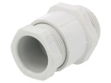 Garnitură de etanșare PG21 poliamidă